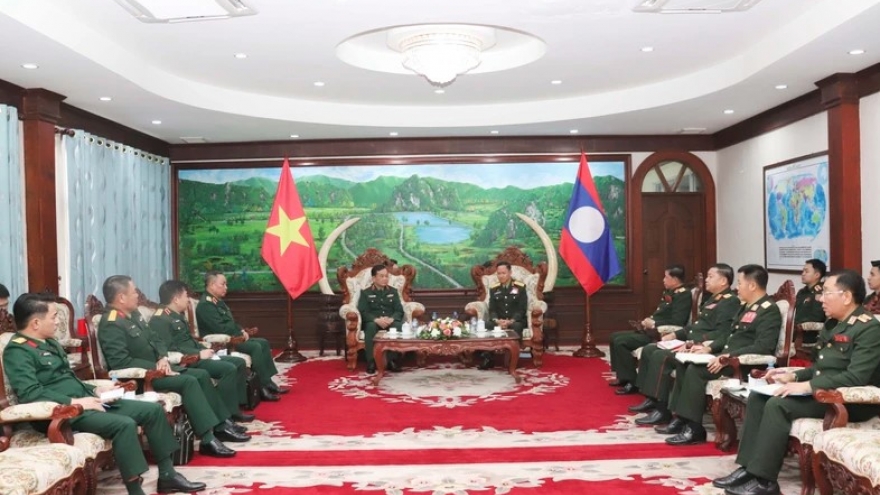 Vietnam offers support to Laos in peacekeeping capacity building